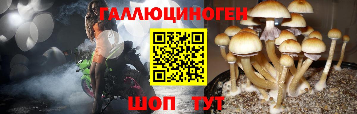 Псилоцибиновые грибы прущие грибы Красноармейск